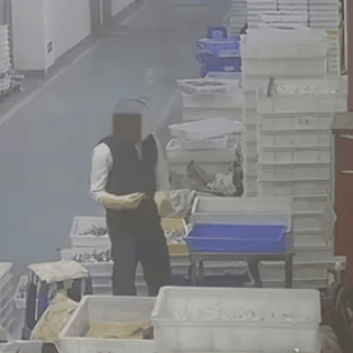 pg试玩游戏-事发凌晨1时许，临时工(gōng)故意縱(zòng)火，知名手办工(gōng)廠(chǎng)起火，正式(shì)员工(gōng)及(jí)时发现并扑灭，但(dàn)多款人气遊(yóu)戏周边被迫延(yán)期出货